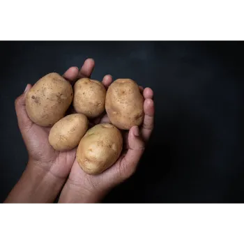 Potato (36)-3556157-69642.webp